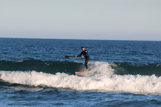 IMG_4293.JPG