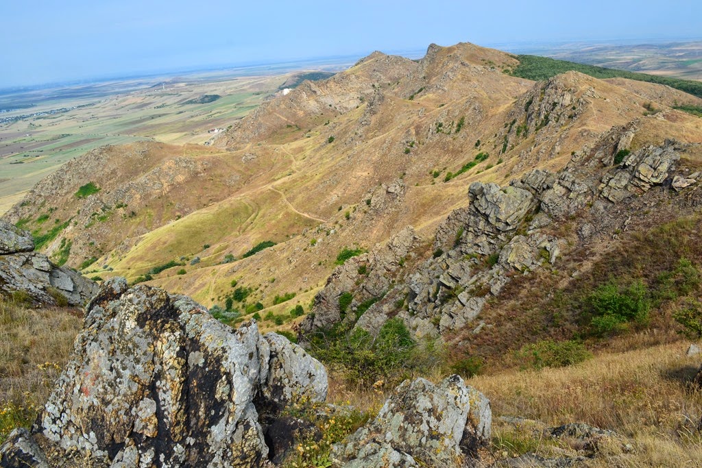 [DSC_65863.jpg]