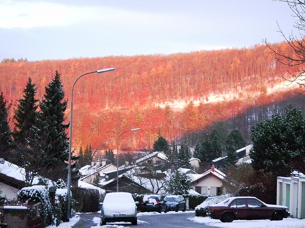 [DSCN2025%255B5%255D.jpg]