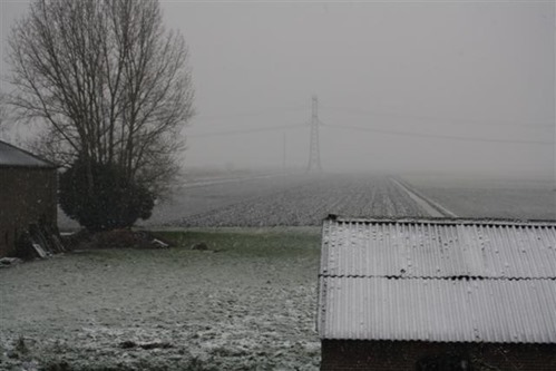 20081123 (4) (Small)