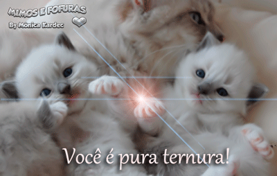KARDEC9.gif