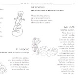 image-15.jpg