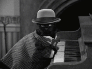 gato%252520pianista%252520blogdeimagenes%252520%2525284%252529_thumb.gif