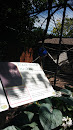 Elmwood Park Zoo Monkey Exhibit