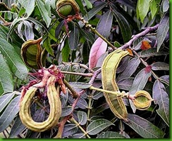 [image%255B119%255D.png]