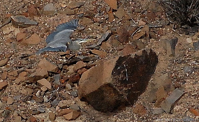 [DSC_7417%255B4%255D.jpg]