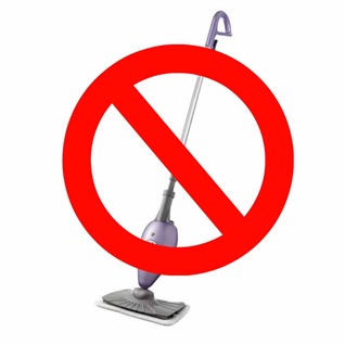 Steam mop