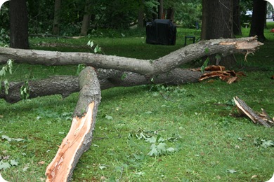 Storm damage