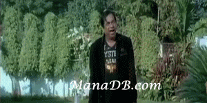 Brahmi-12.gif