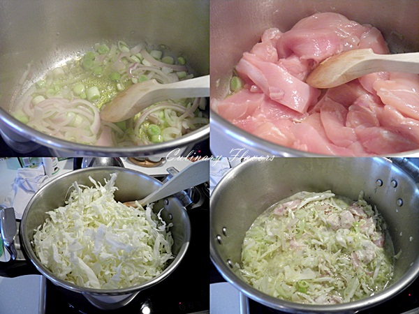 Chicken and Cabbage Stew.jpg