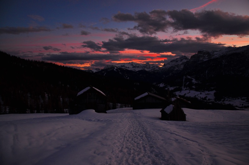 DSC_8341.JPG DSC 8341