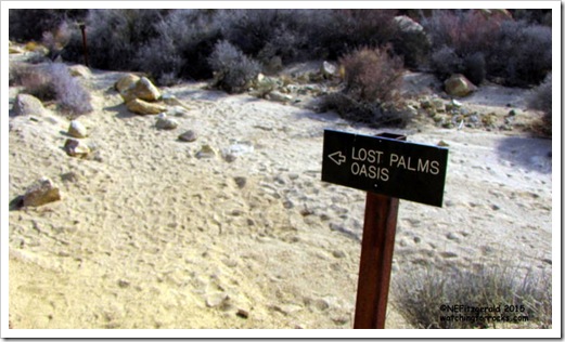 IMG_8710Sign