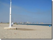 IMG_5545 IMG_5545