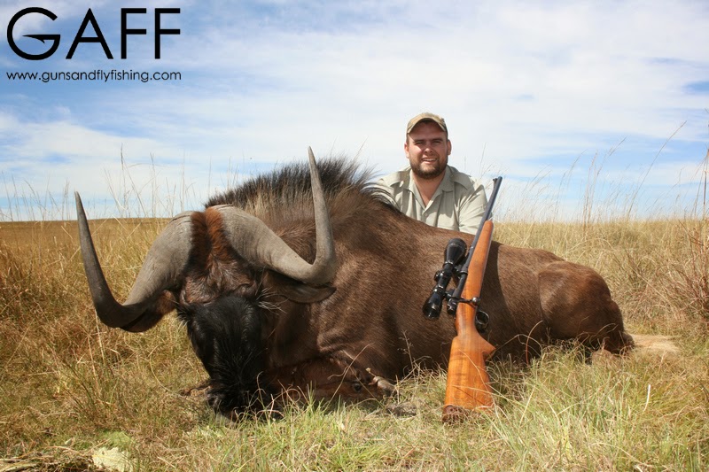 Black-Wildebeest-Hunting (4).jpg