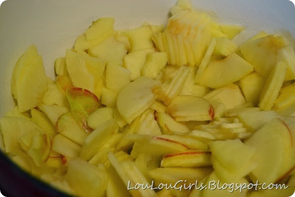 Homemade-Applesauce-Recipe (10)