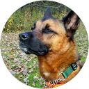 Nicholas Glarner profile picture