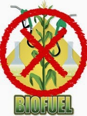 no_biofuels