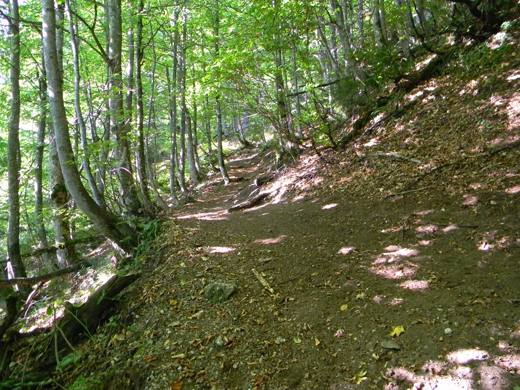 [DSCN22853.jpg]