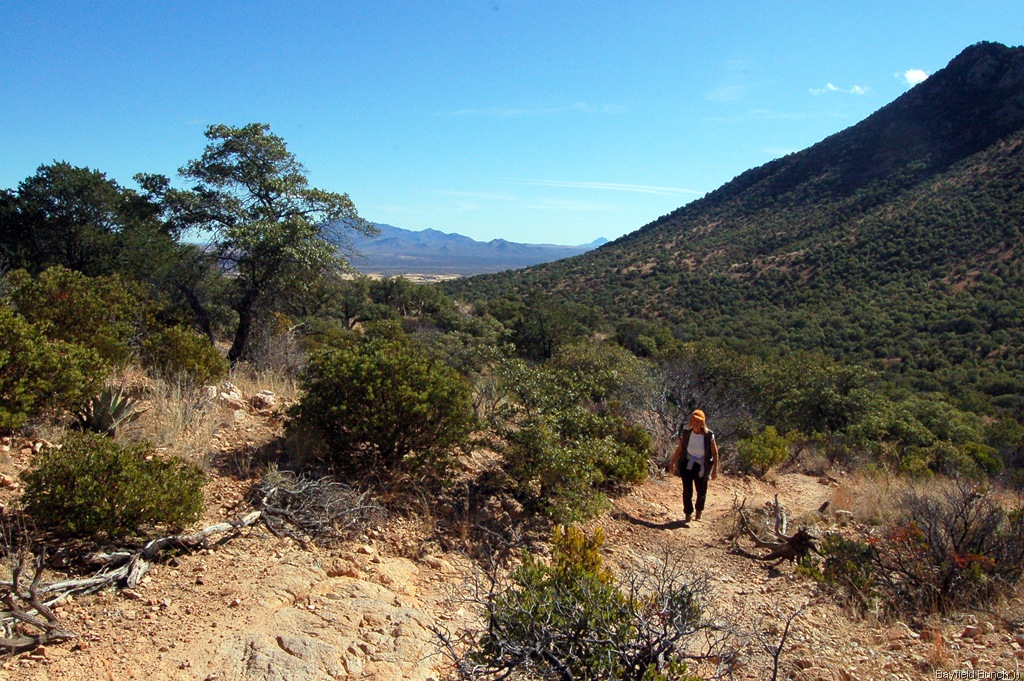 [DSC_0026%255B3%255D.jpg]