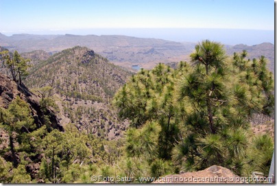 6221 Montaña Alsandara 6221 Montaña Alsandara