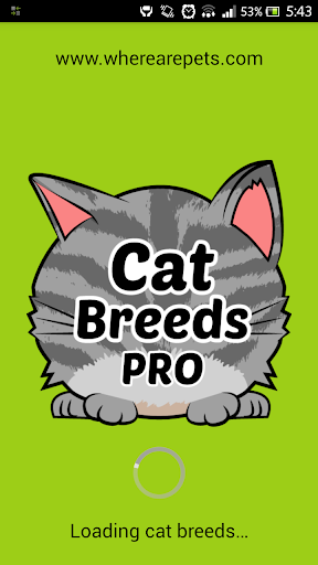 Cat Breeds PRO - BETA