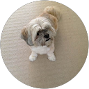 trudy holt profile picture