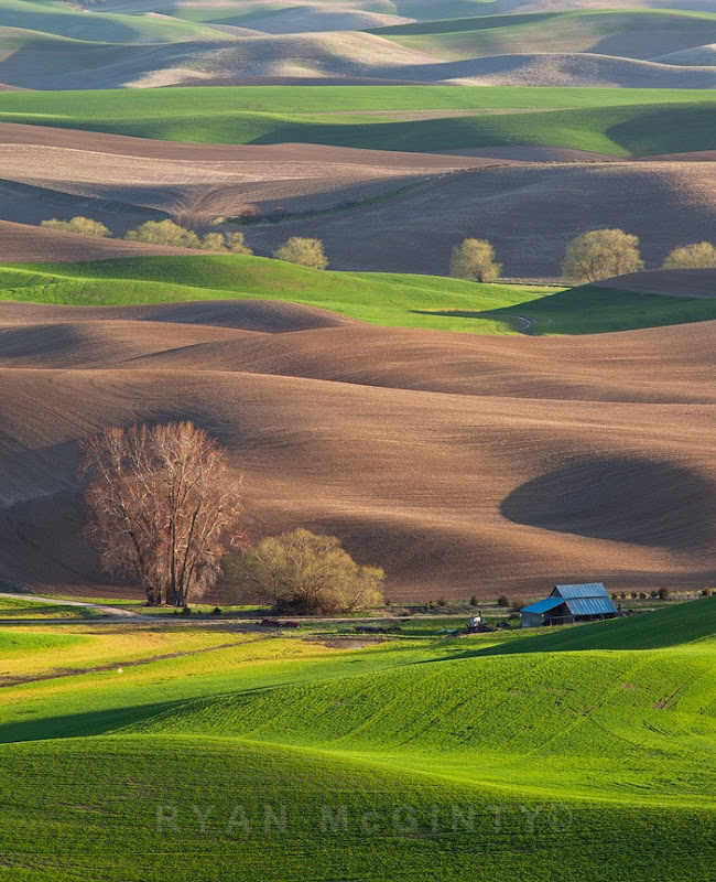 Palouse Afternoon Layer Cake