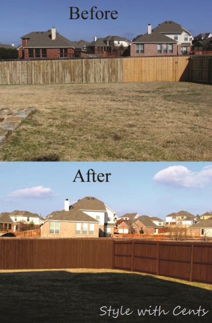 How to stain an old worn out fence for dirt cheap using 'Oops' paint from Home Depot.