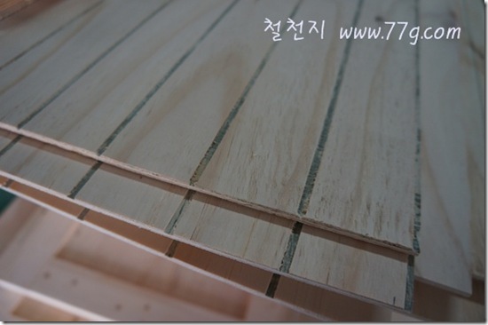 철천지DSC00810-20120508-160729