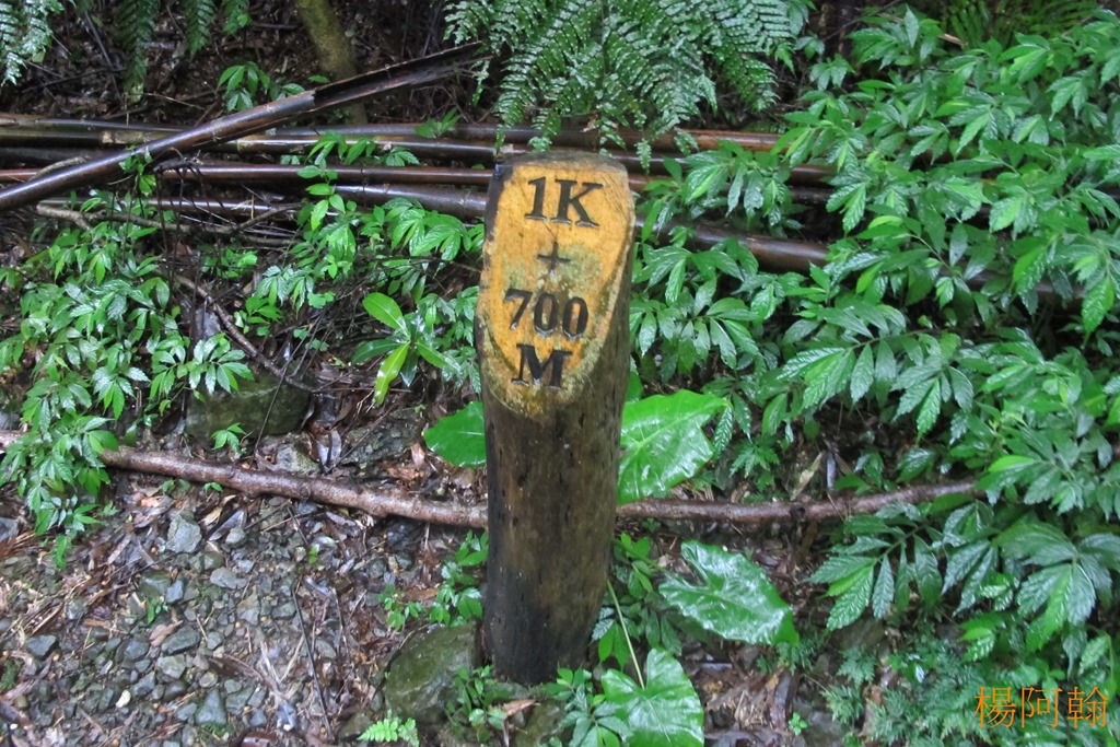 [0508-098---4.jpg]
