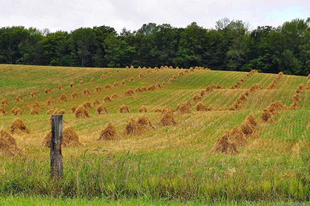 [DSC_0002%255B4%255D.jpg]