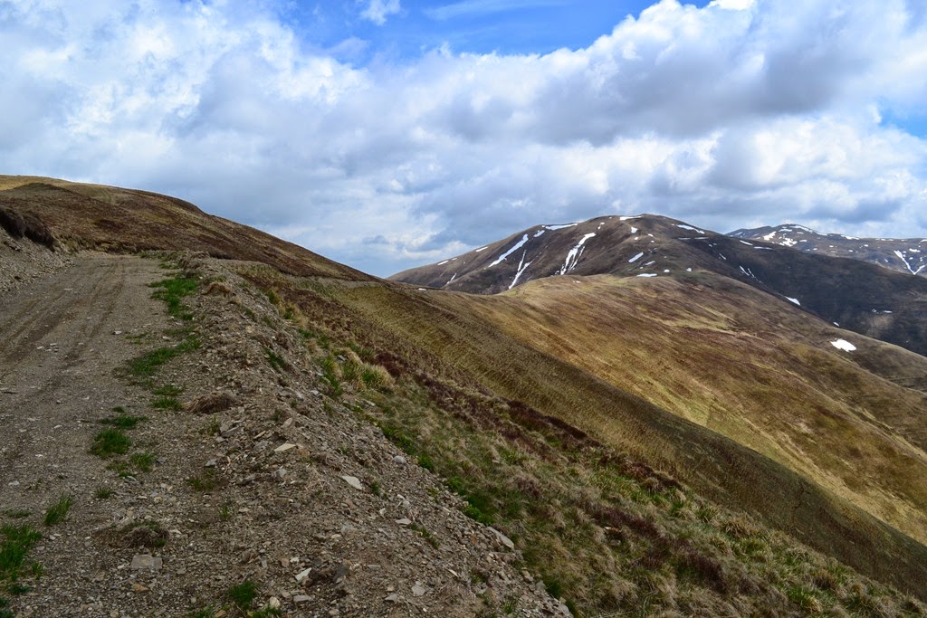 [DSC_99383.jpg]