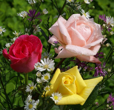 cor-rosas-significado.jpg