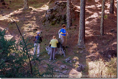 3337 Cueva Grande-Llanos Pez 3337 Cueva Grande-Llanos Pez
