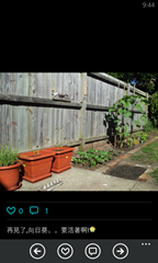 wp_ss_20131229_0006 wp_ss_20131229_0006