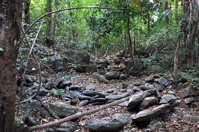 DSC_0919.JPG