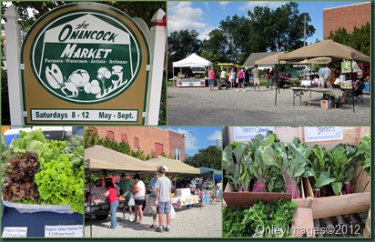 farmers market collage