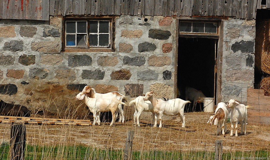 [DSC_4515%255B4%255D.jpg]