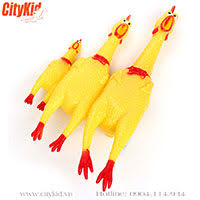 Gà bóp kêu Shrilling chicken Gà Shrilling chicken Hà Nội