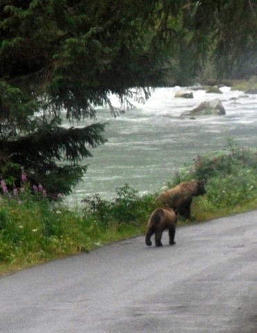 [SDC11856%255B3%255D.jpg]