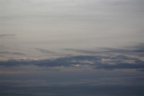 20081113 (2) (Small)