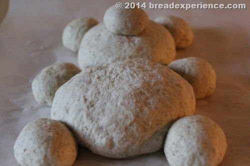 Teddy Bear Bread Dough