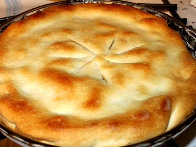 beef pot pie fast cheap and easy3