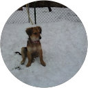 Immagine del profilo di Giusi Foglio