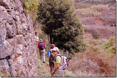 3148 Circular Barranco Propios 3148 Circular Barranco Propios