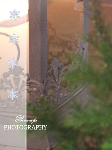 [20111127_13%255B1%255D.jpg]