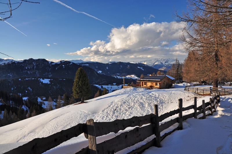 DSC_8202.JPG DSC 8202