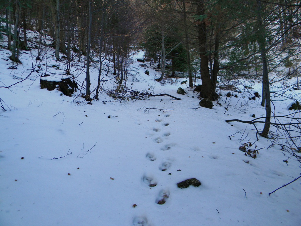 [DSCN66033.jpg]