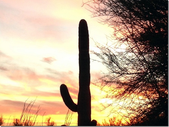 Saguaro sunset 1-20-2013 5-54-52 PM 2048x1536