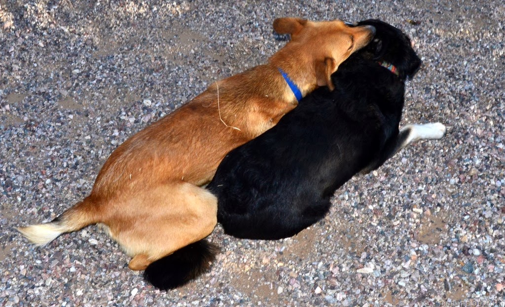 [DSC_0019%255B4%255D.jpg]